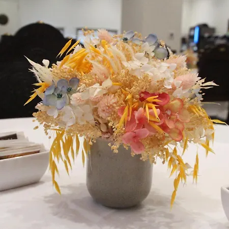 Hotell Dona Sofia Braga